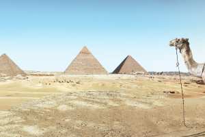Tour Egypt
