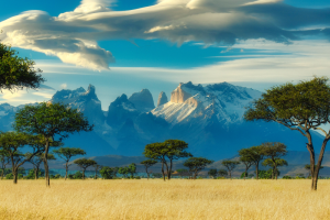 Tour Africa